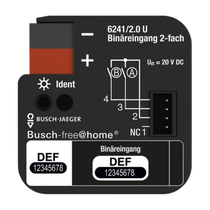 Binäreingang 2-fach, UP